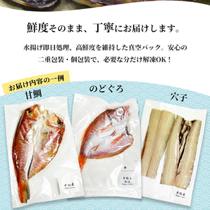 旬の魚 干物セット 贅沢詰合せ 6種～8種 日本海産