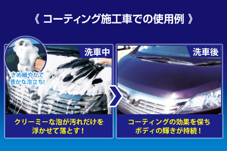 ジャンボメンテナンスシャンプー オールカラー用 2本　カー用品 洗車用品 シャンプー 
