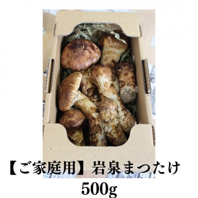 【訳あり】ご家庭用 岩泉まつたけ 直送 500g【配送不可地域：離島】