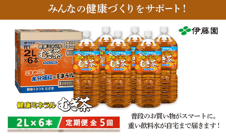 『定期便：全5回』健康ミネラルむぎ茶2L×6本【500010】_イメージ5