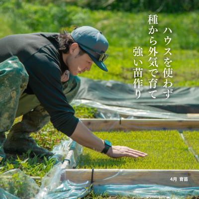 ふるさと納税 佐渡市 【発送月固定定期便】新潟県佐渡産【在来コシヒカリ】白米 5kg全4回 |  | 02