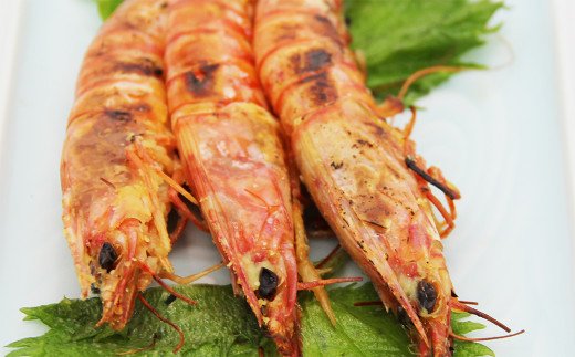 車海老の味噌漬（中〜大サイズ）計750g（250g×3）海老 えび 味噌漬け