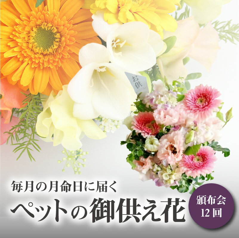 【ふるさと納税】【頒布会12回】八女のお花を使った「毎月の月命日に届くペットの御供え花」＜配送不可：北海道・沖縄・離島＞ 花 お供え ペット 月命日