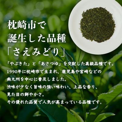 ふるさと納税 枕崎市 【のし付き・御歳暮】1番茶のみを使用 有機煎茶【さえみどり】 (100g×2本) A6-118S |  | 02