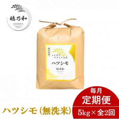ふるさと納税 羽島市 【発送月固定定期便】【先行予約】岐阜県産ハツシモ(無洗米)5kg全2回