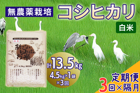 無農薬栽培 コシヒカリ 白米 2ヶ月に1回定期便（全3回）＜計13.5kg（4.5kg×3回）＞ | 米 お米 コメ ご飯 お取り寄せ 贈り物 上原農場 埼玉県 杉戸町