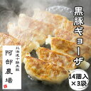 【ふるさと納税】北海道 手作り 黒豚 ギョーザ 42個 1350g お肉たっぷり 餃子 ギョウザ