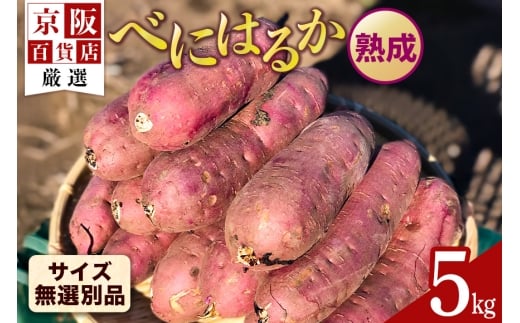 【京阪百貨店厳選】茨城県産べにはるか 5kg（熟成）[サイズ無選別品] 芋 さつま芋 サツマイモ さつまいも B18-007