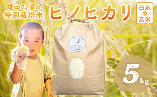 畑中さんがこだわり抜いて育てた 特別栽培米（減農薬米） ｢ひのひかり｣  白米 玄米 可５㎏ 奈良県 三宅町 ヒノヒカリ：玄米