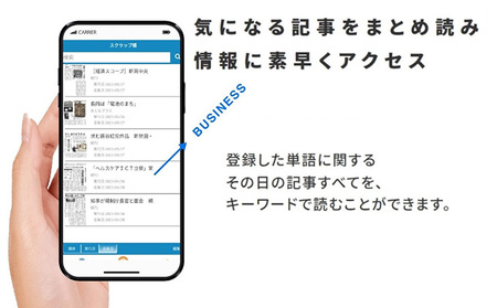 新潟日報電子版（朝刊）3カ月