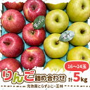 【ふるさと納税】【2024年先行予約】りんご 完熟葉とらずふじ・王林詰め合わせ 5kg (16～24玉)【配送不可地域：離島・沖縄県】【1365701】