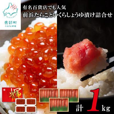 ふるさと納税 鹿部町 丸鮮道場水産 前浜たらこといくらしょうゆ漬け詰合せ(L)(計1kg) MC028-7