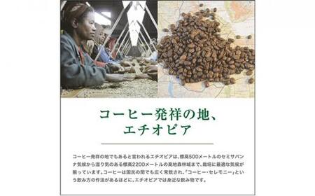 【粉】#123 エチオピア モカ シャキッソ ナチュラル G1 コーヒー豆 310g 当日焙煎 大山珈琲