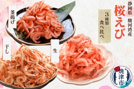 【定期便3回お届け】焼津特選桜えび3種類食べ比べ (b100-049)