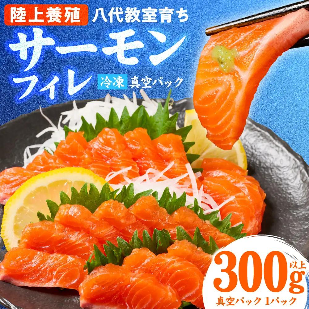八代 教室育ち サーモン フィレ 300g以上 刺身 サーモン