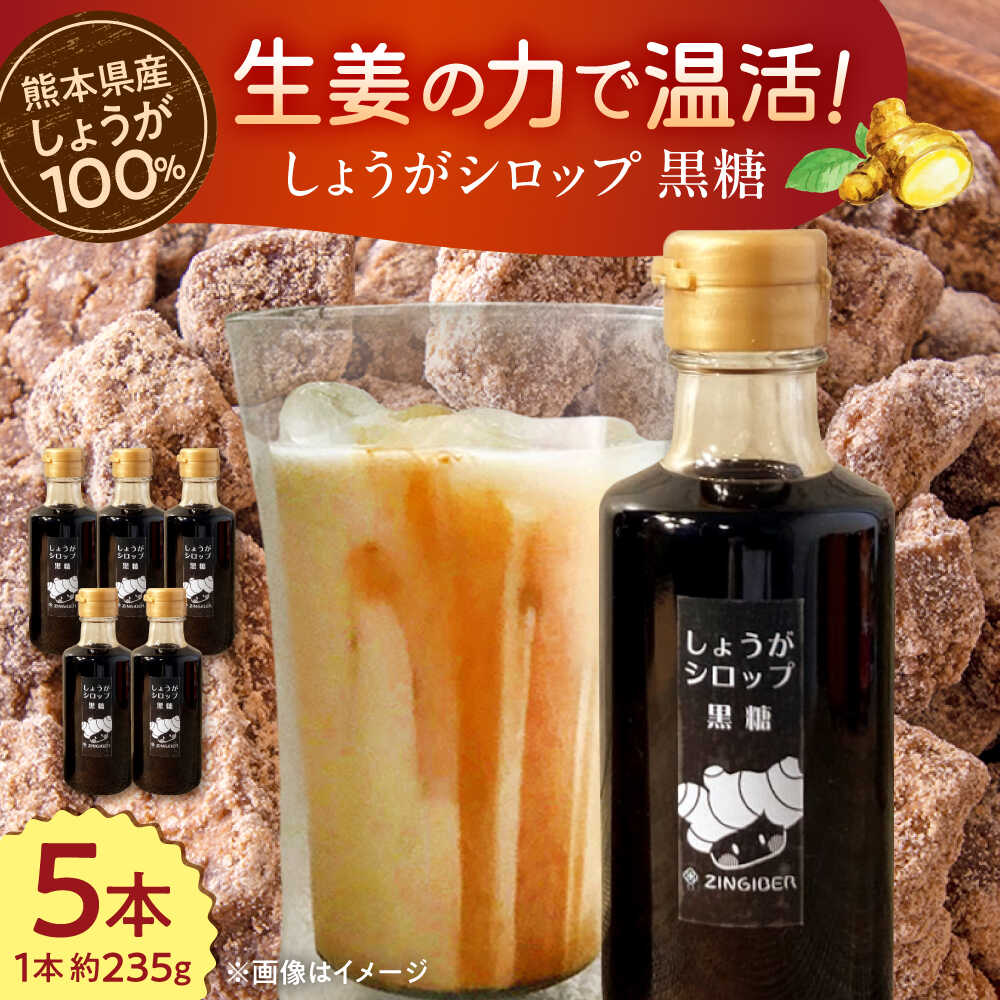 【ふるさと納税】しょうが シロップ 黒糖 約235g×5本 セット【ジンジベル】 合志市 熊本県 生姜 シロップ 調味料 しょうが ジンジャー 黒糖 黒砂糖 飲料 炭酸 炭酸水 ジュース ドリンク 飲み物 ギフト プレゼント [AYAD011]