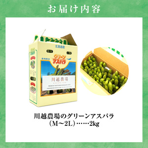 《2026年発送》グリーンアスパラガス 2kg | 北海道産 やま旨 極太