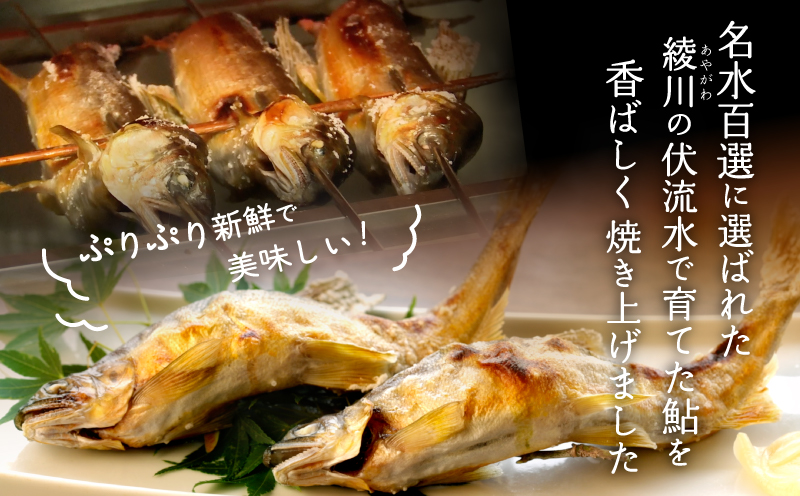 鮎の塩焼き5匹（冷凍）