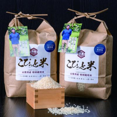ふるさと納税 北杜市 冷めても美味しい!【令和8年産】こぴっと米【五百川】白米・4kg　特別栽培米