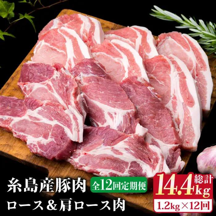 【全12回定期便】糸島豚ロース肉6枚 肩ロースカツ5枚 合計11枚セット 糸島市/糸島ミートデリ工房[ACA231]