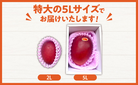 特大5Lサイズ 宮崎県産 完熟マンゴー 2玉 化粧箱入り 令和8年発送分 期間限定 数量限定 フルーツ 果物 くだもの 国産 食品 デザート おすすめ ご褒美 贅沢 産地直送 特大 希少 お祝 お土産