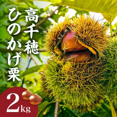 ふるさと納税 高千穂町 高千穂・ひのかげくり(9月限定)