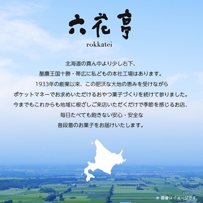 六花亭・六花セレクト缶(花柄)18個入【配送不可地域：離島】【1359118】