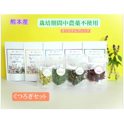 ふるさと納税 宇土市 【熊本ハーブ園レモングラス産】ハーブティーくつろぎセット　ブレンド・シングル計9袋