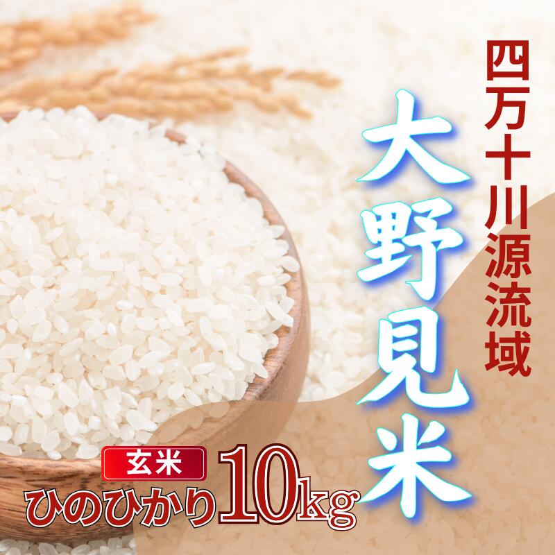 【ふるさと納税】 米 10kg ヒノヒカリ 玄米 新米 お米 特別栽培 大野見米 ご飯 ひのひかり 10キロ 四万十 高知