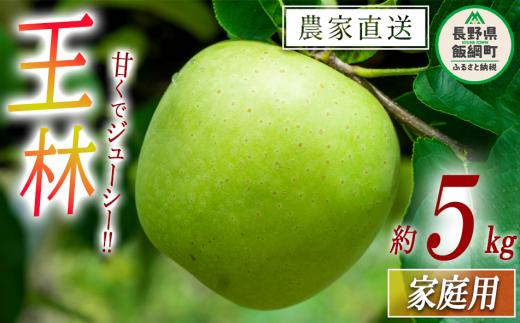 りんご 王林 家庭用 5kg 中村ファーム 沖縄県への配送不可 2025年10月下旬頃から2025年12月中旬頃まで順次発送予定 令和7年度収穫分 長野県 飯綱町 [0560]