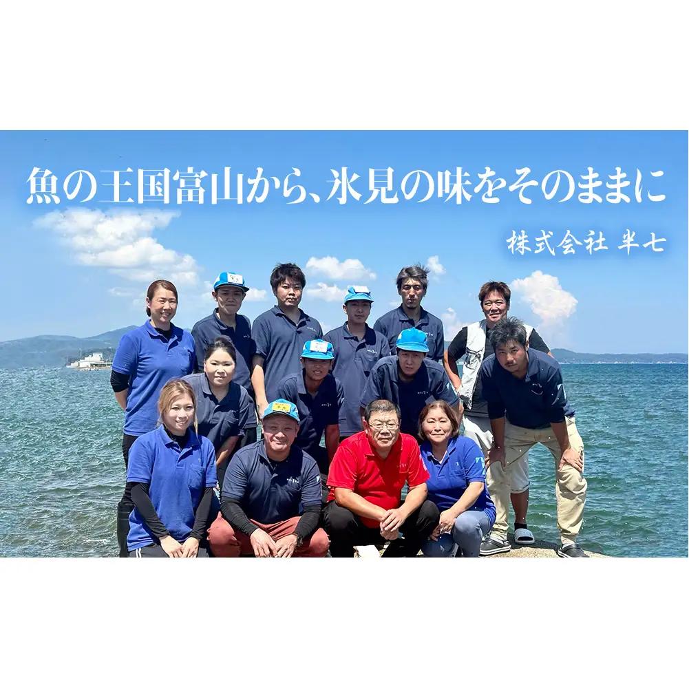厳選！半七のおまかせ干物 詰め合わせセット（9-10種） 富山県 氷見市 干物 おかず 魚 一品