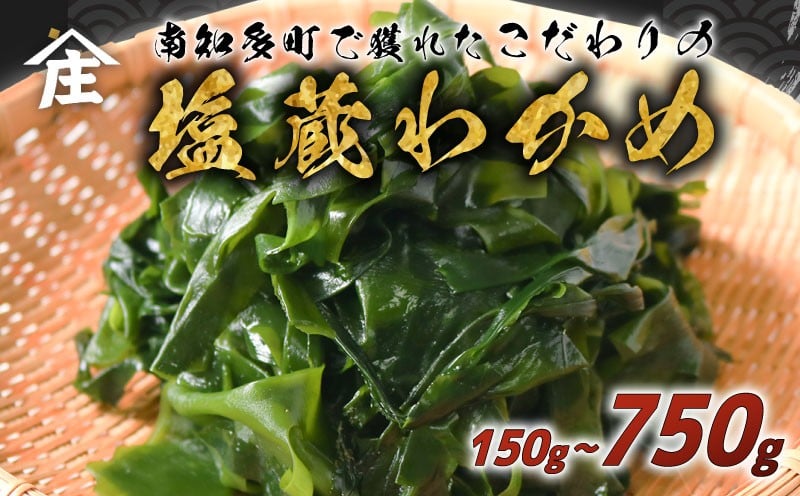 
            【容量選べる】 塩蔵わかめ 150g ～ 750g 冷凍 チャック袋入 お味噌汁 和物 ごはん 丼 サラダ 海藻 料理 愛知県 南知多町 師崎 ワカメ わかめ 海藻類 おすすめ おいしいワカメ お米 に合う 米 に合う コメ に合う 水産 海の恵 塩蔵ワカメ 酢の物 水産加工 おこめ に合う 味噌汁 太陽の恵み 知多半島 大人気 南知多産わかめ 愛知県産ワカメ 南知多 南知多のわかめ 人気わかめ
          