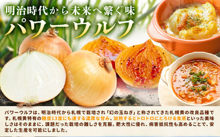 玉ねぎ 10kg パワーウルフ 山下農場《9月中旬-10月末頃出荷》 北海道 本別町 たまねぎ タマネギ 万能 北海道産