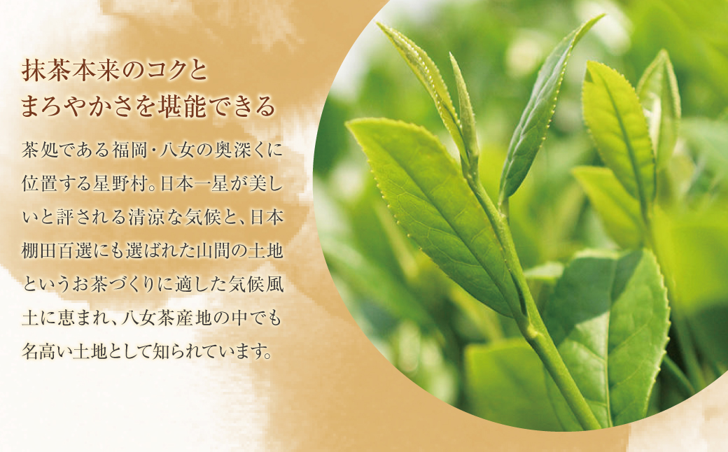 八女茶 八女ほうじ茶 ティーバッグ 3g×200個入