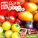 【12/22入金まで年内発送】【2024年11月中旬〜2025年5月下旬発送分】【ふるさと納税】 カラフル ミニトマト 4色5種MIX 1.2kg 【小値賀町】長崎 五島列島 国産《りんたろうファーム》 [DAE001] トマト とまと ミニとまと 野菜 サラダ お弁当 常温