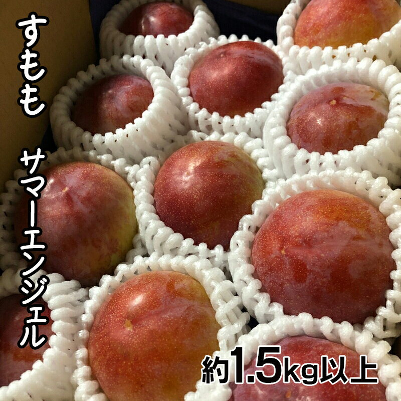 【ふるさと納税】 【2025年発送先行予約】すもも　サマーエンジェル「夏の天使」約1.5kg以上 ふるさと納税 すもも サマーエンジェル プラム 果物 フルーツ おすすめ 山梨県 南アルプス市 送料無料 ALPCZ010