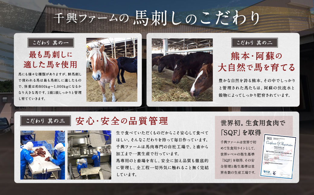 鮮馬刺し 3種ブロックセット（霜降り・ロース・ヒレ） 計約240g