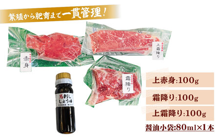純熊本県産 馬刺しセット 馬刺し 300g 馬肉 上赤身 霜降り 上霜降り