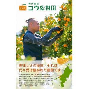 【発送月固定定期便】コウ果樹園の旬の柑橘定期便(11月-4月)【H33-40】全6回【4052188】