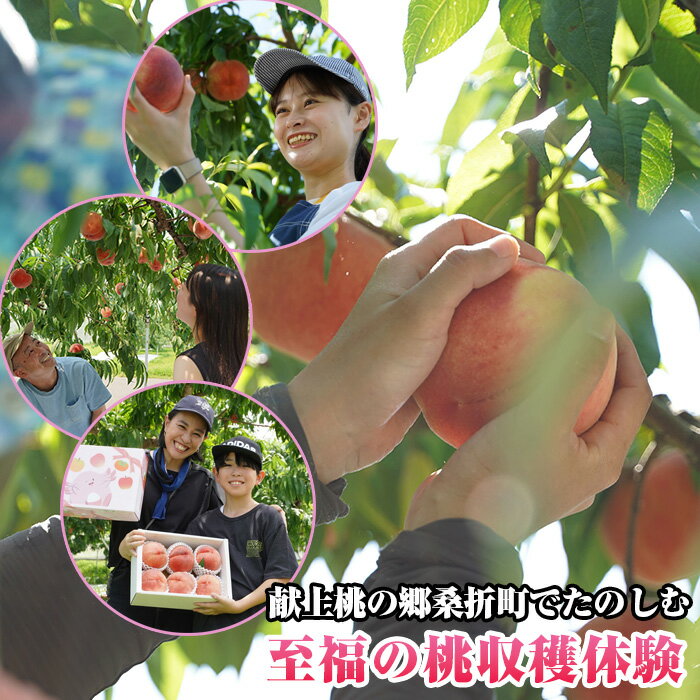 【ふるさと納税】No.244 献上桃の郷桑折町でたのしむ「至福の桃」収穫体験ツアー招待券（2名様分） ／ もも モモ フルーツ 果物 採りたて 新鮮 ジューシー 献上品 国内最高峰 体験チケット 自然体験 特産品 送料無料 福島県