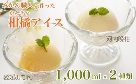 アイス 柑橘 愛媛 みかん 河内晩柑 1000ml 2種 ギフト 詰め合わせ アイス 有名 みかん 河内晩柑 みかん職人 アイス 武田屋 お取り寄せ 贈り物 みかん 河内晩柑 アイス 贈答品 氷菓 シ