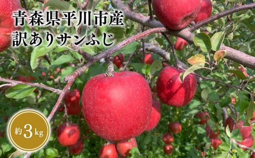 12月 訳あり サンふじ 約3kg【なるみ農園・青森りんご・平川市産・12月・数量限定】