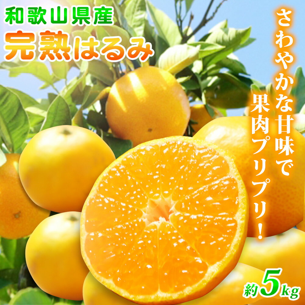 【ふるさと納税】【限定】 果肉ぷりぷり！完熟 はるみ 5kg【ミカン 蜜柑 春みかん 柑橘 和歌山 有田 春見】
