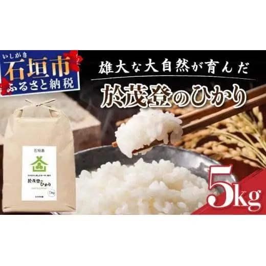 石垣島産 於茂登(おもと)のひかり 5kg みやぎ米屋　MK-1 