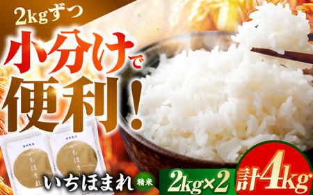 【2026年1月中旬より順次発送】福井県産 いちほまれ 2kg×2袋 合計4kg 福井県 ブランド米 / 白米 精米 甘みとつや 小浜市 / シマダ農園[BFAV013]
