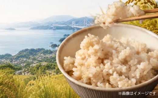 【定期便】令和8年産米　淡路島産キヌヒカリ　玄米10kg《6回コース》
