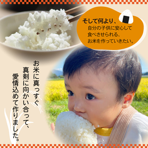 【新米予約受付】令和7年度産 ひとめぼれ 玄米10kg 3ヶ月定期便 ／ 岩手県産 国産 雫石町 産 農家 直送 産地 直送 米 こめ コメ ごはん ライス らいす ご飯 穂々ファーム
