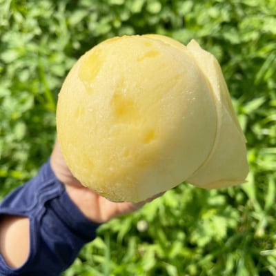 【2025年先行予約】2025年7月下旬頃より発送予定・岡山の白桃・清水白桃(2kg箱)【配送不可地域：離島】