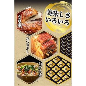 大型サイズ　ふっくら柔らか国産うなぎ蒲焼き　3尾