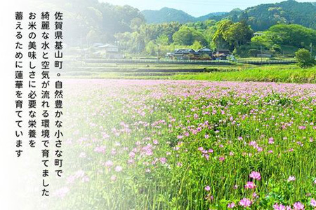 【令和7年新米・先行受付】【3カ月定期便】ちぎり米 10kg(「さがびより」、「ヒノヒカリ」、「夢しずく」から1種類 選択不可)【栽培期間中農薬不使用米 佐賀県産 米 お米 コメ こめ 国産 美味しい